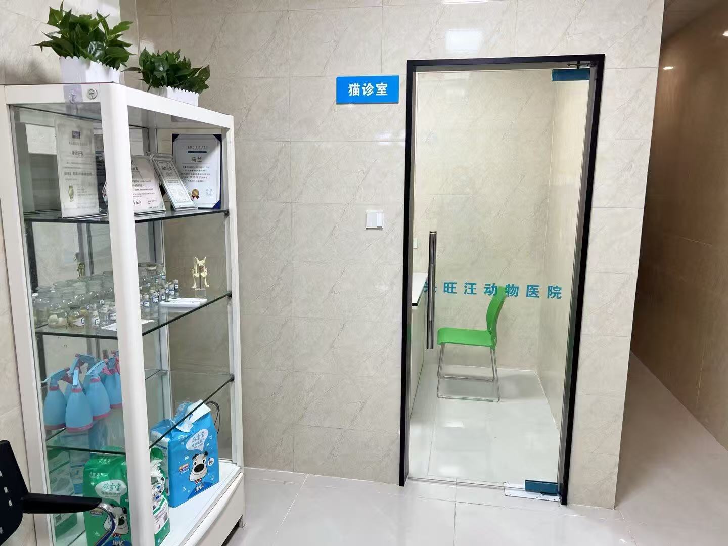 泸州宠物